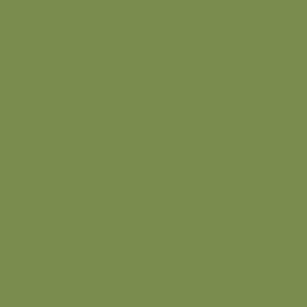 Kiwi Groen